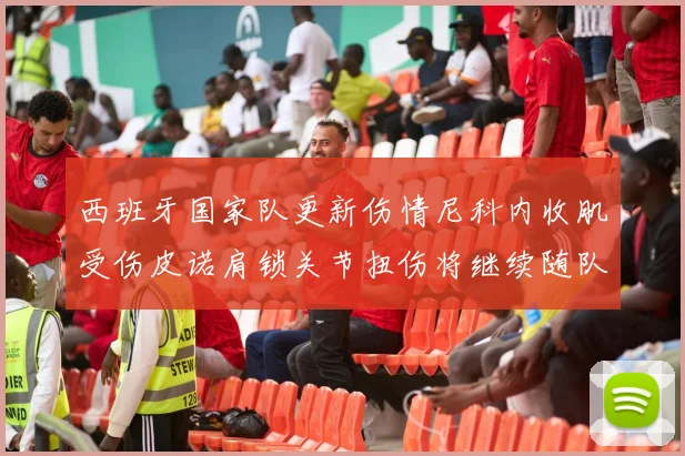 西班牙国家队更新伤情尼科内收肌受伤皮诺肩锁关节扭伤将继续随队训练