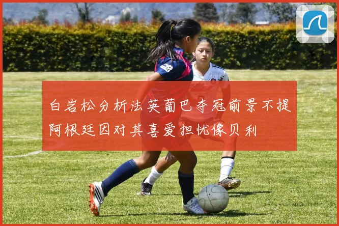白岩松分析法英葡巴夺冠前景不提阿根廷因对其喜爱担忧像贝利