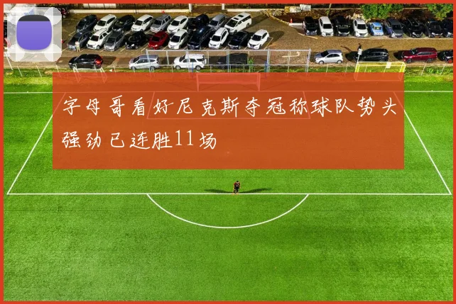 字母哥看好尼克斯夺冠称球队势头强劲已连胜11场